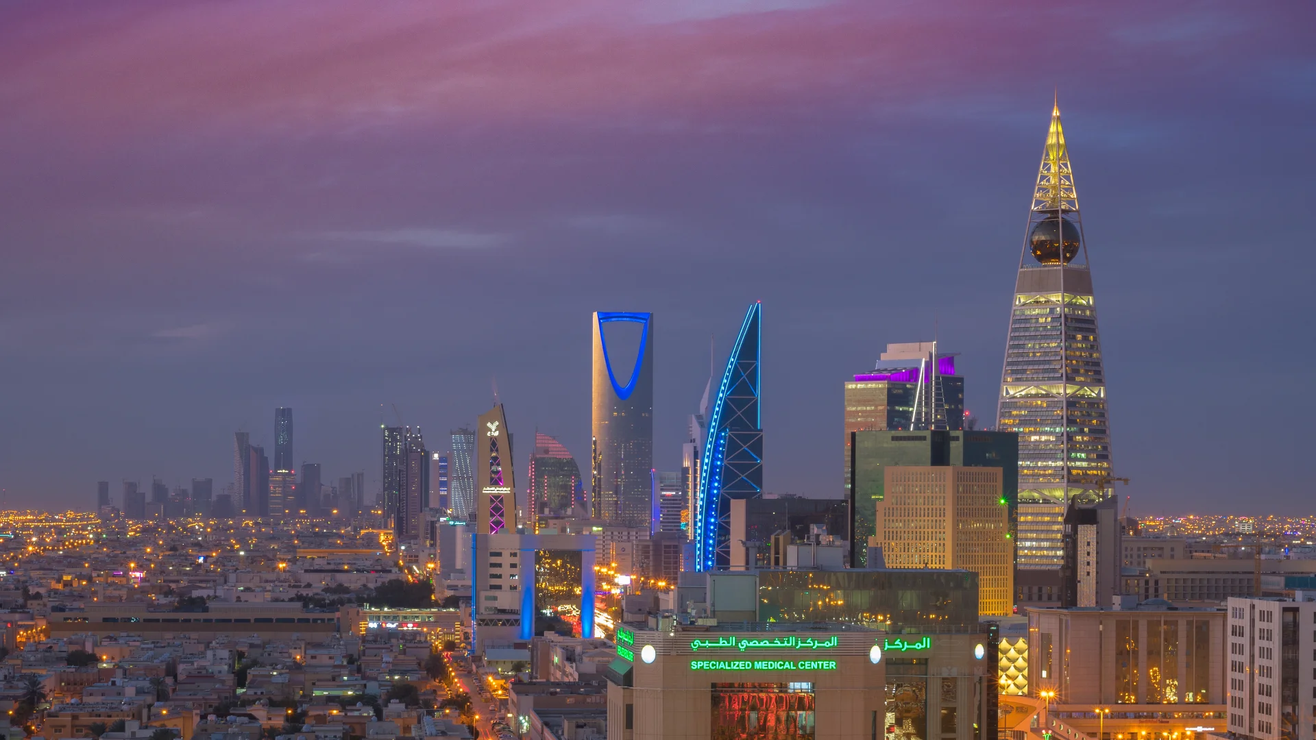 التقاضي والتمثيل النظامي